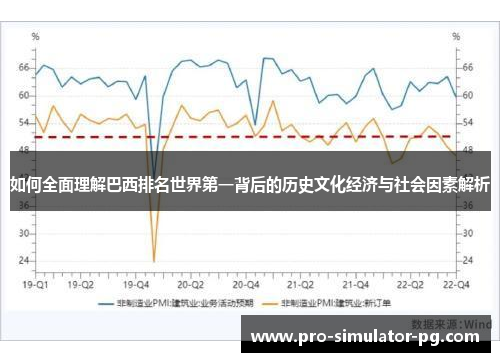 如何全面理解巴西排名世界第一背后的历史文化经济与社会因素解析