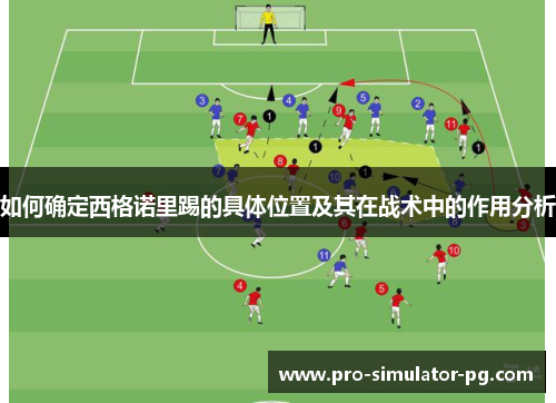 如何确定西格诺里踢的具体位置及其在战术中的作用分析