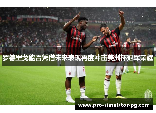 罗德里戈能否凭借未来表现再度冲击美洲杯冠军荣耀