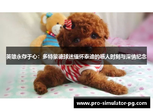 英雄永存于心:多特蒙德球迷缅怀泰迪的感人时刻与深情纪念 英雄永存于心:多特蒙德球迷缅怀泰迪的感人时刻与深情纪念