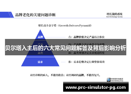 贝尔塔入主后的六大常见问题解答及背后影响分析