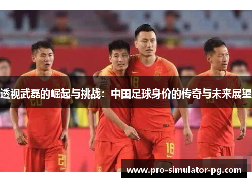 透视武磊的崛起与挑战：中国足球身价的传奇与未来展望