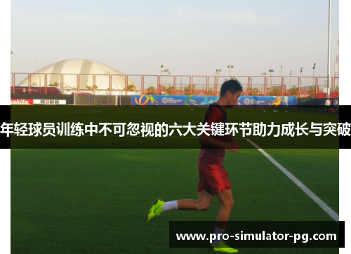 年轻球员训练中不可忽视的六大关键环节助力成长与突破