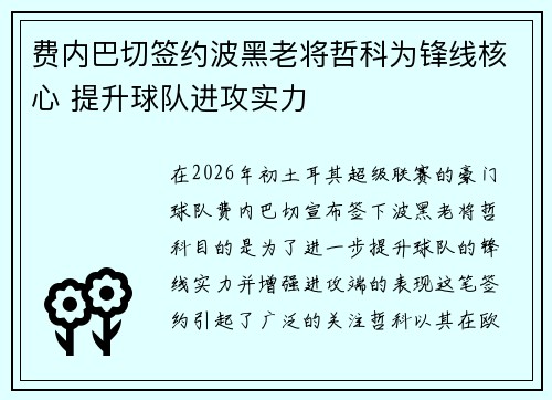费内巴切签约波黑老将哲科为锋线核心 提升球队进攻实力